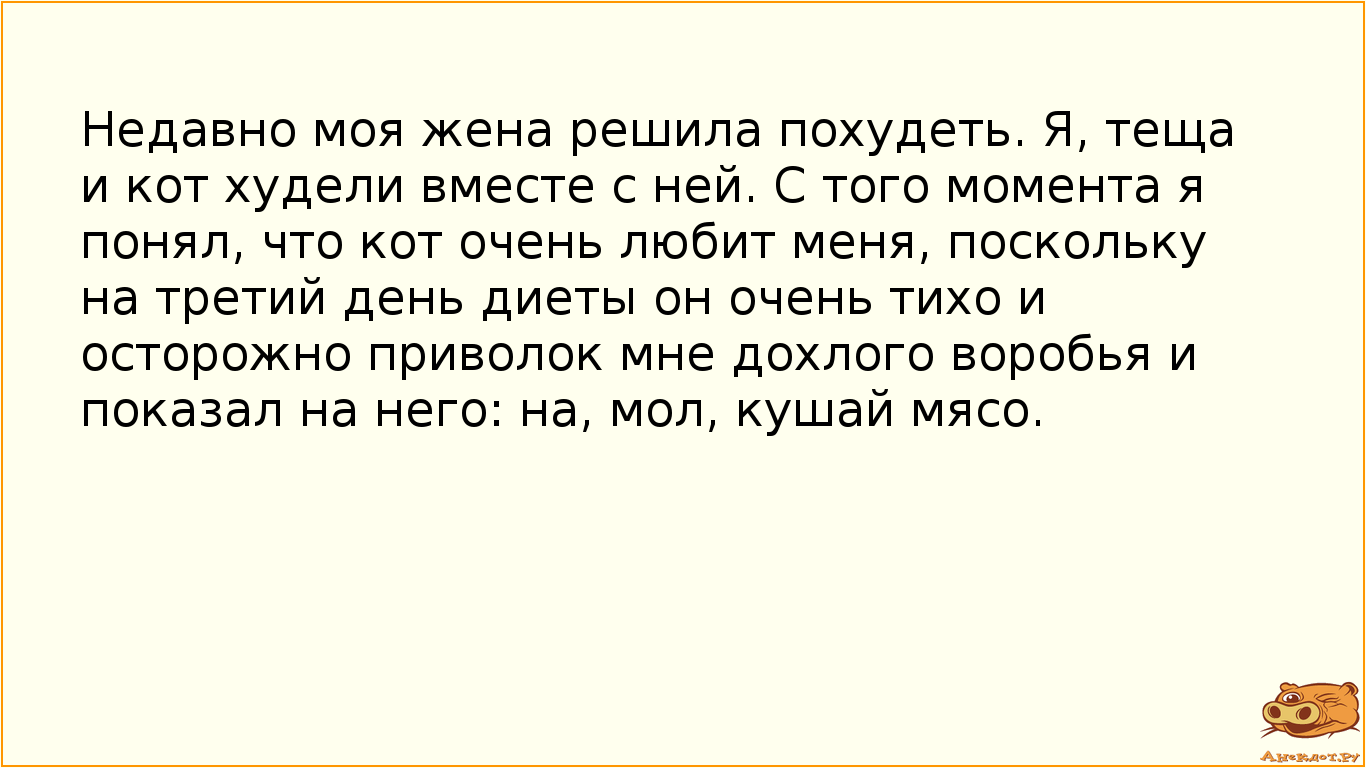 Недавно моя жена решила похудеть. Я, теща и кот худели вместе с ней. С того момента я понял, что кот…